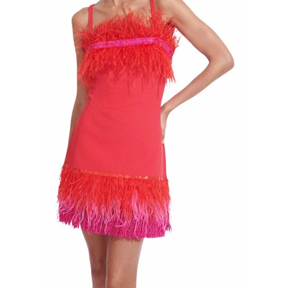 ❤️🔥 STAUD Etta Dress | Size S | Blood Orange Feather Mini ❤️🔥 - Picture 5 of 9